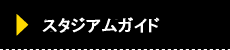 スタジアムガイド